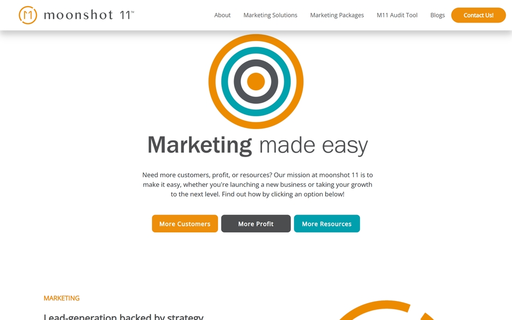 img of B2B Digital Marketing Agency - moonshot 11